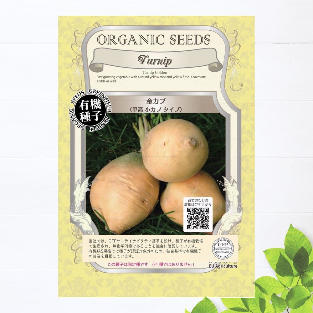   金カブ（甲高小カブタイプ）