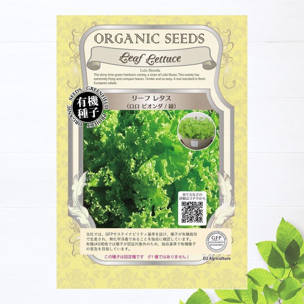 種　リーフレタス（ロロビオンダ/緑）