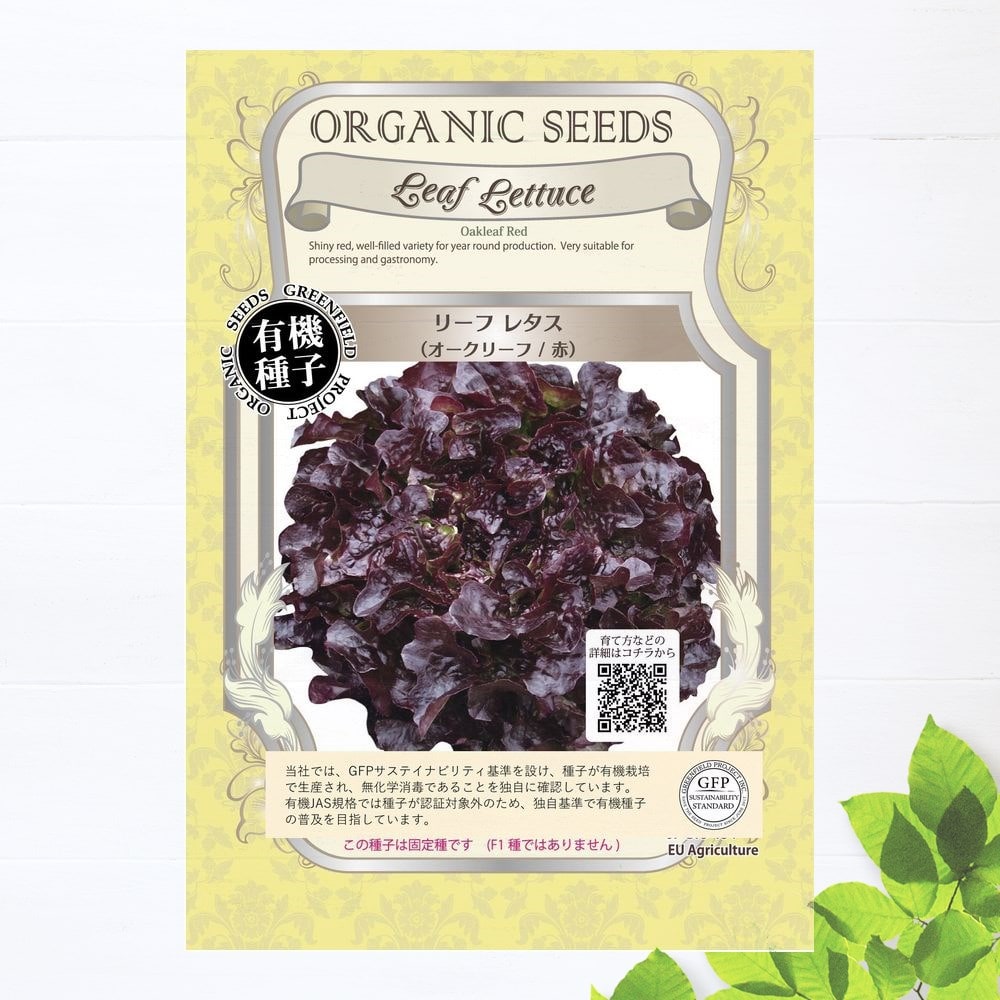 種　リーフレタス（オークリーフ/赤）
