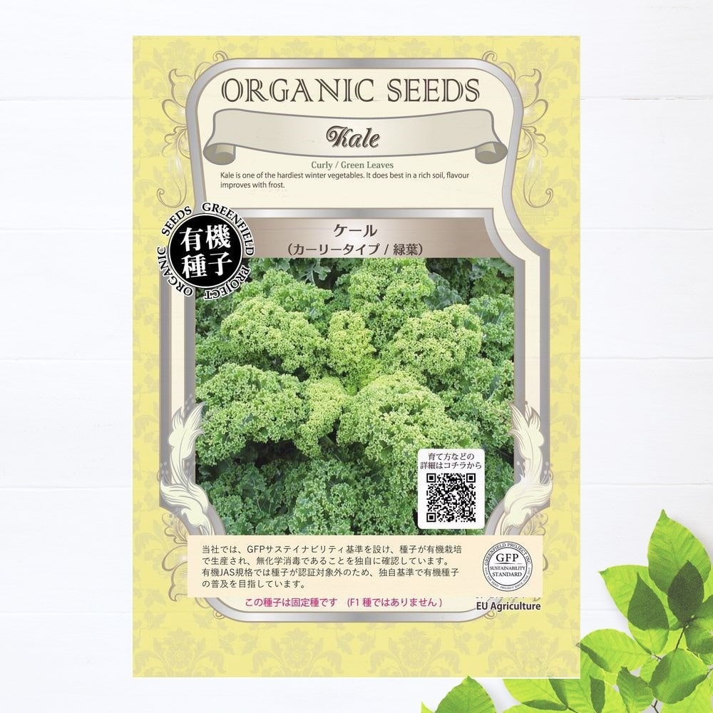種　ケール/カーリータイプ/緑葉