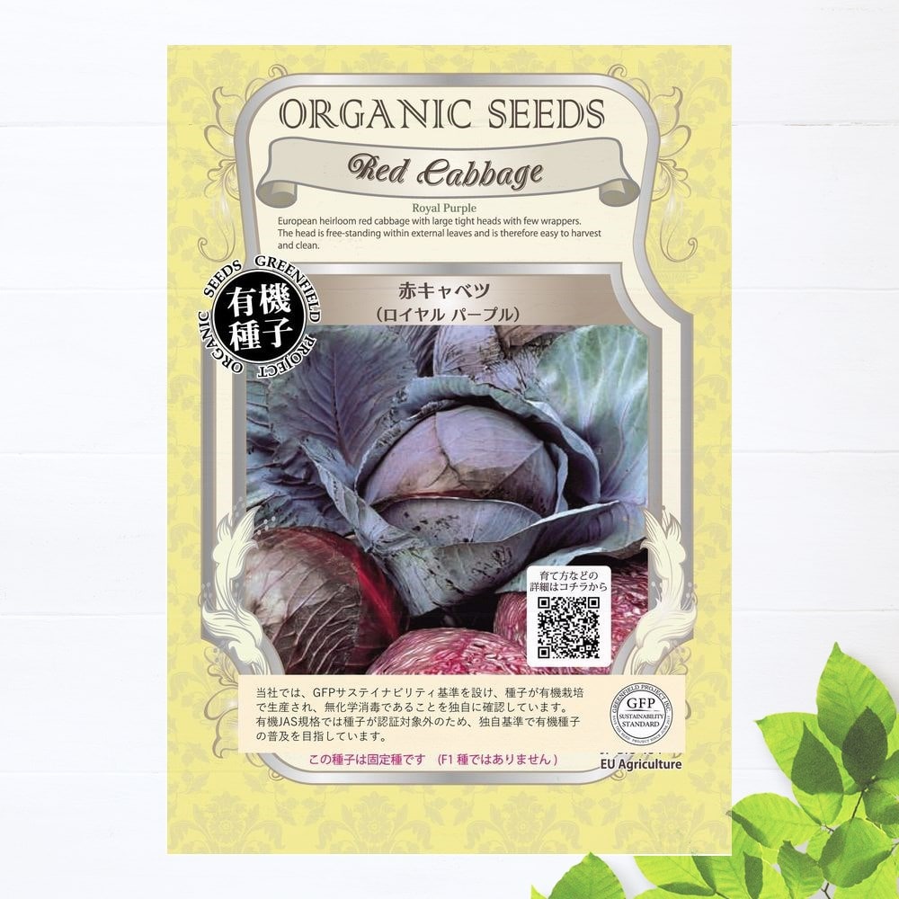 赤キャベツ ロイヤルパープル 