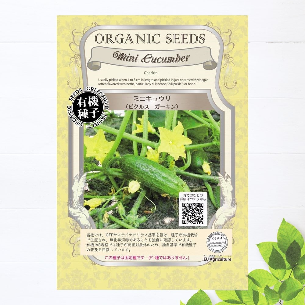 ミニキュウリ ピクルスガーキン 苗 販売 苗木部 By 花ひろばオンライン