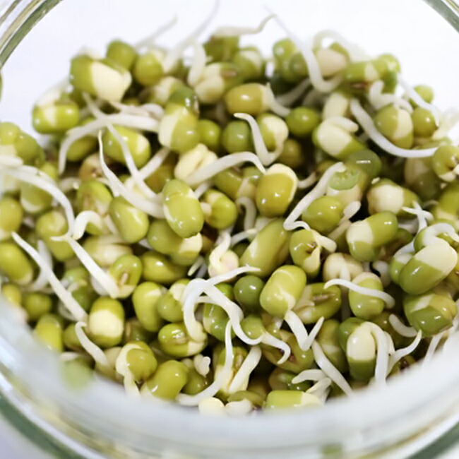 マングビーン/緑豆