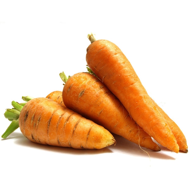   種 ( タネ )｜ニンジン (ナンテス)