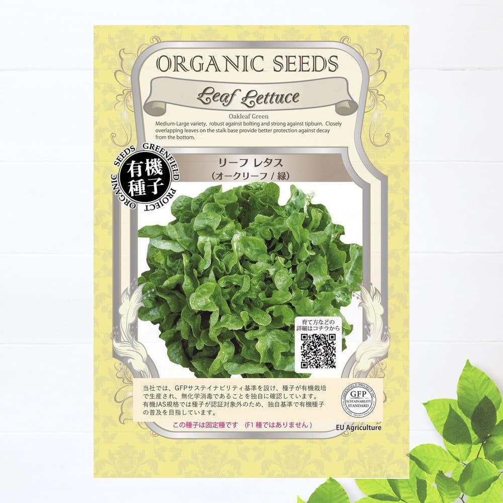   リーフレタス (オークリーフ 緑) 