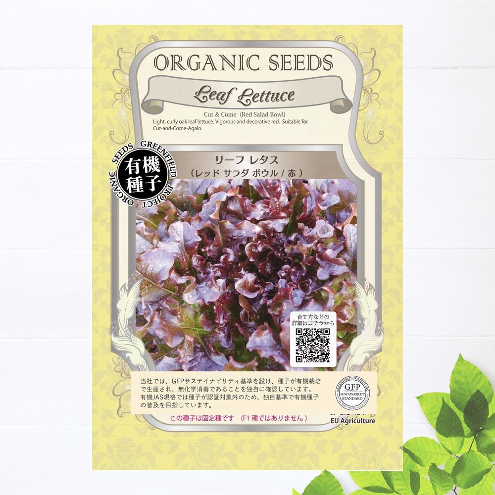 種　リーフレタス