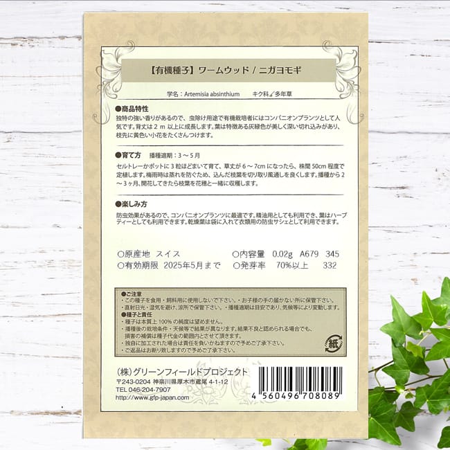 小松菜 小松菜 1