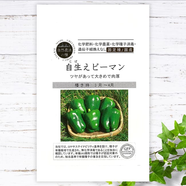 ピーマン 自生えピーマン 