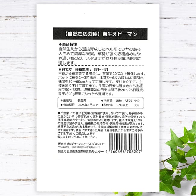 ピーマン 自生えピーマン 1