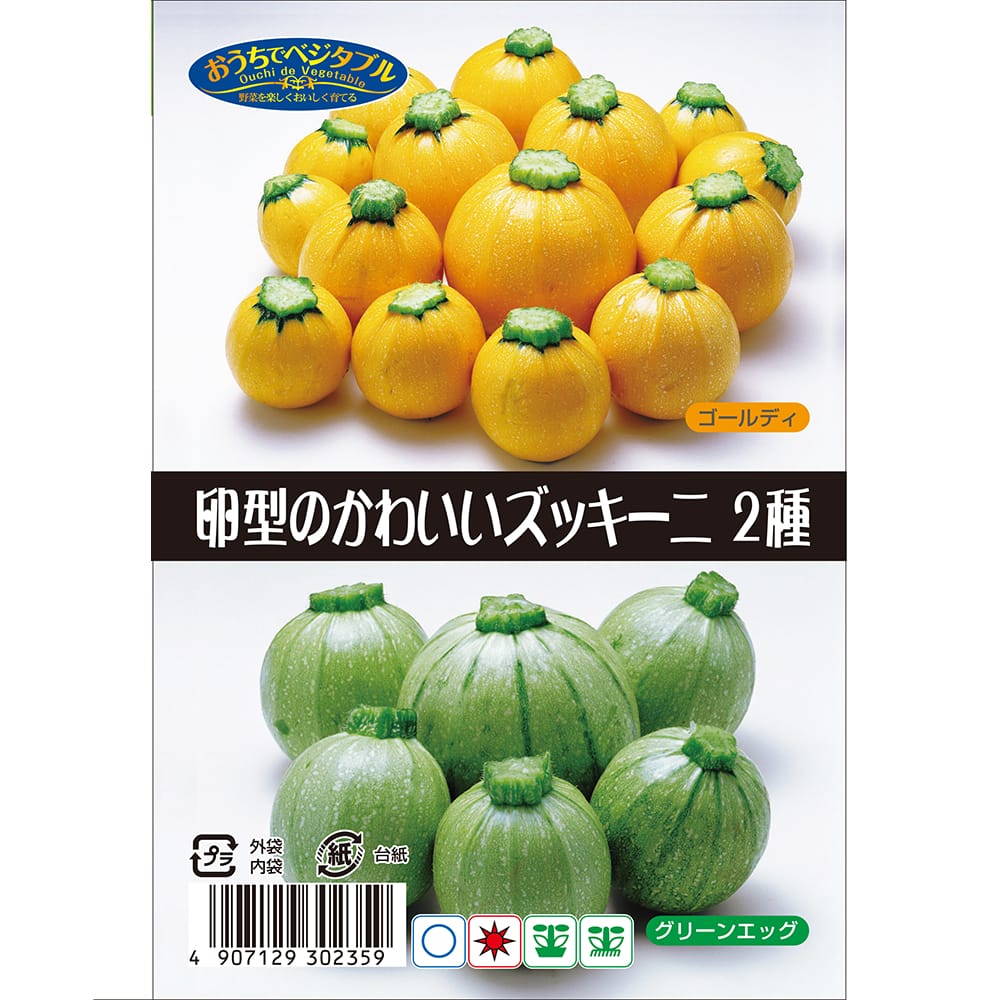 ズッキーニ 卵型のかわいいズッキーニ 