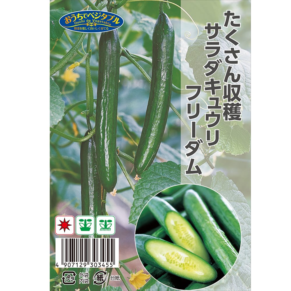 きゅうり フリーダム 