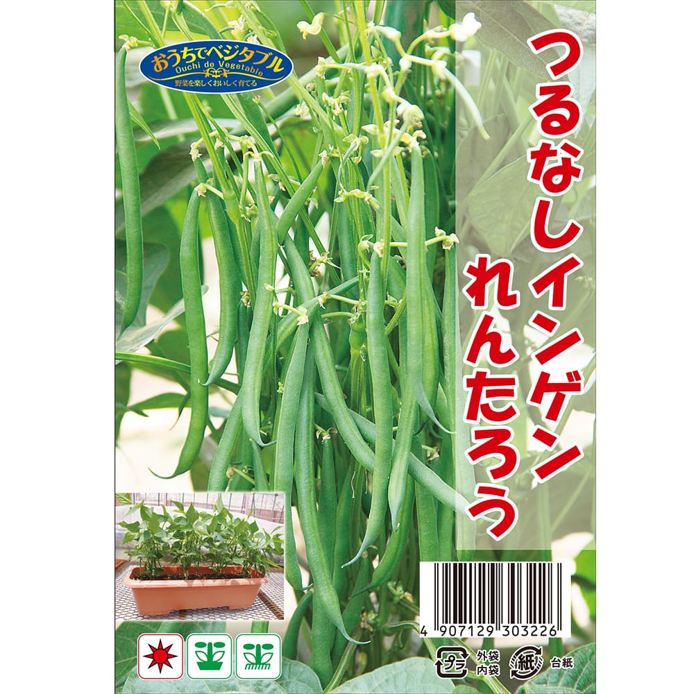 インゲン れんたろう 