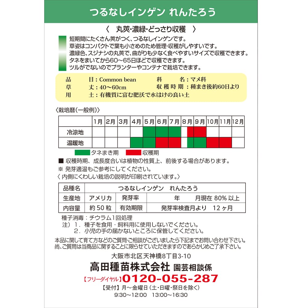 インゲン れんたろう 1