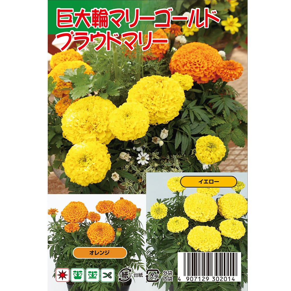 マリーゴールド プラウドマリー2色 