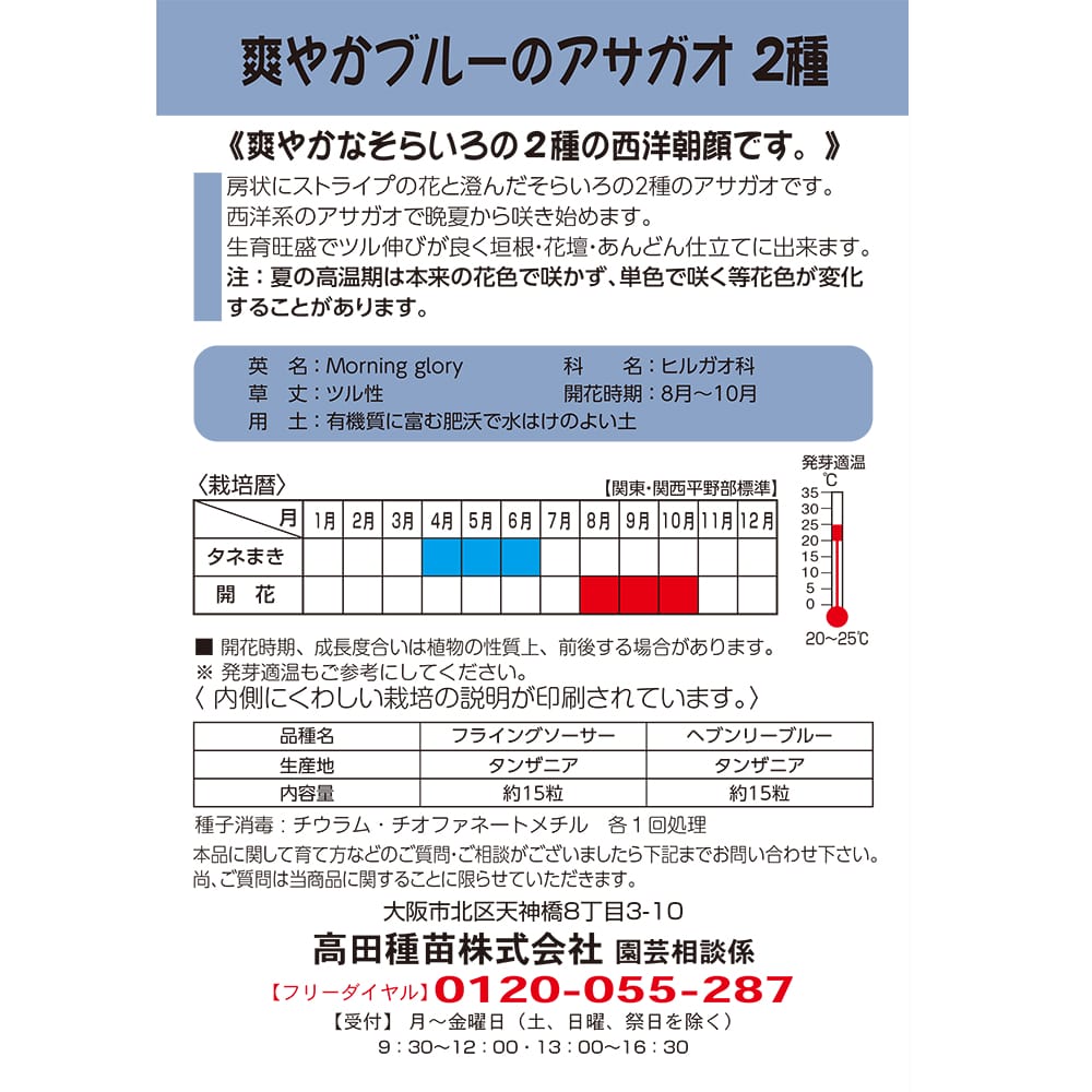 朝顔 爽やかブルーの朝顔 ２種 1