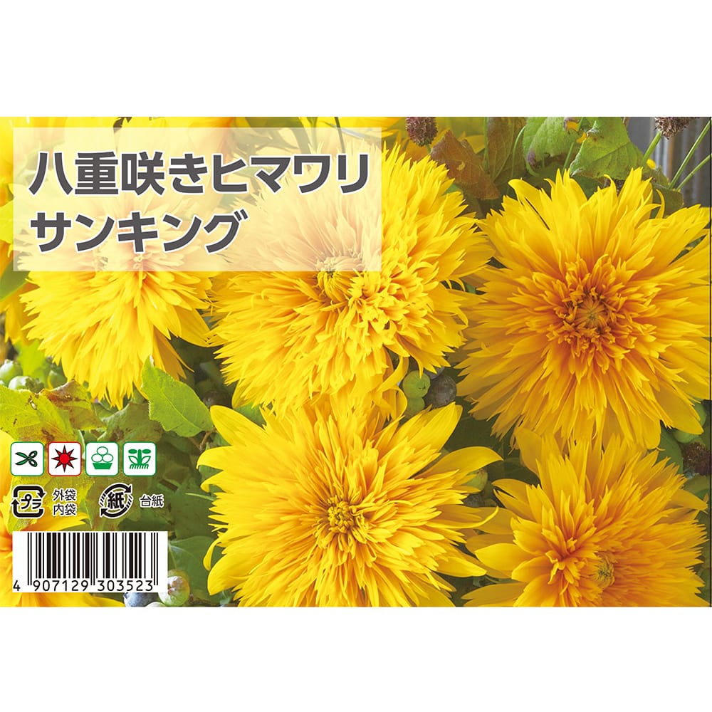 ひまわり サンキング 