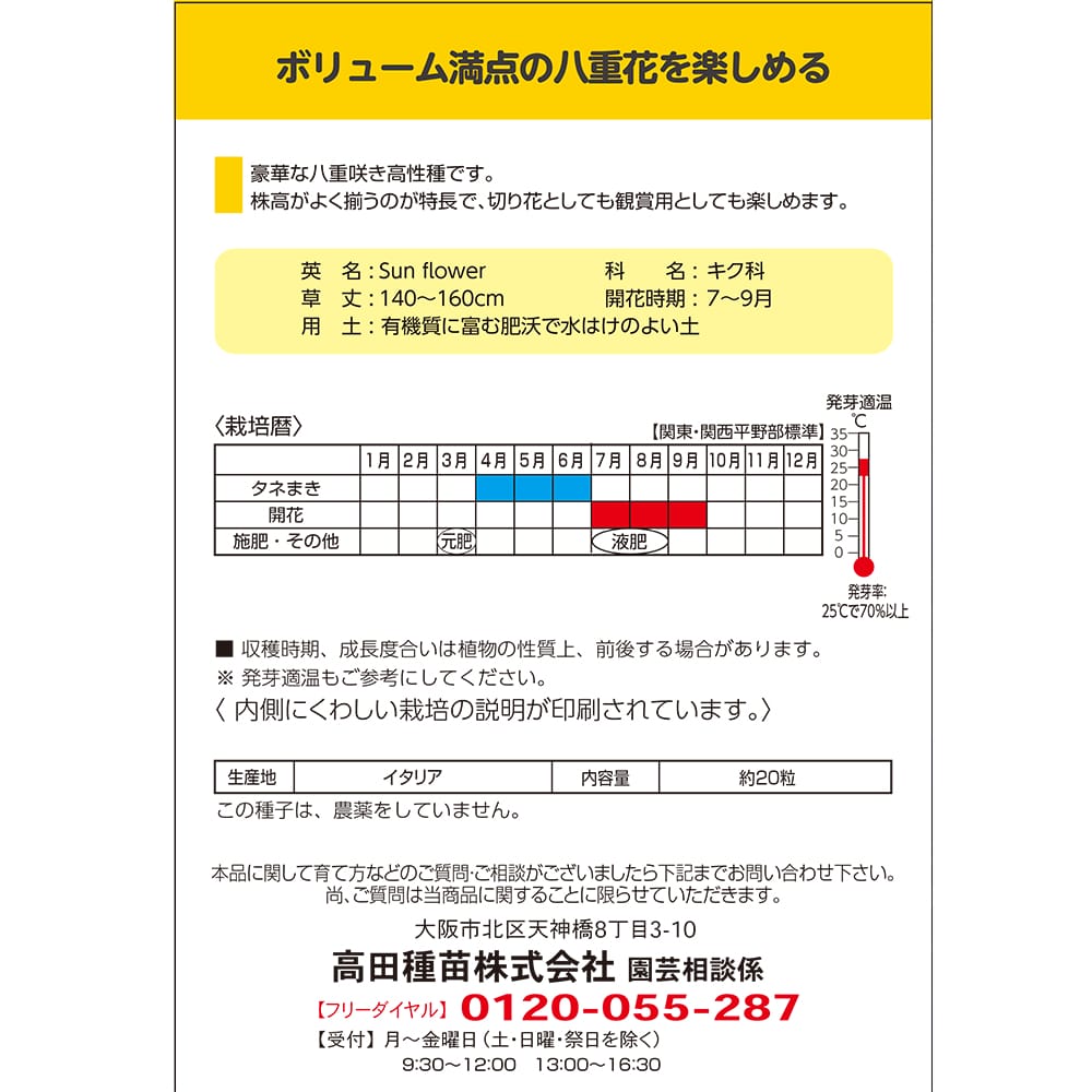 ひまわり サンキング 1