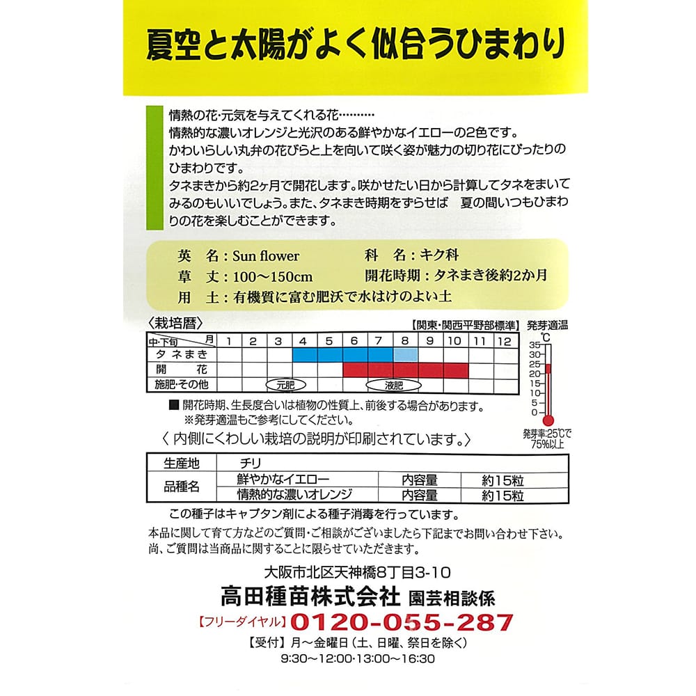 ひまわり 情熱のひまわり 1