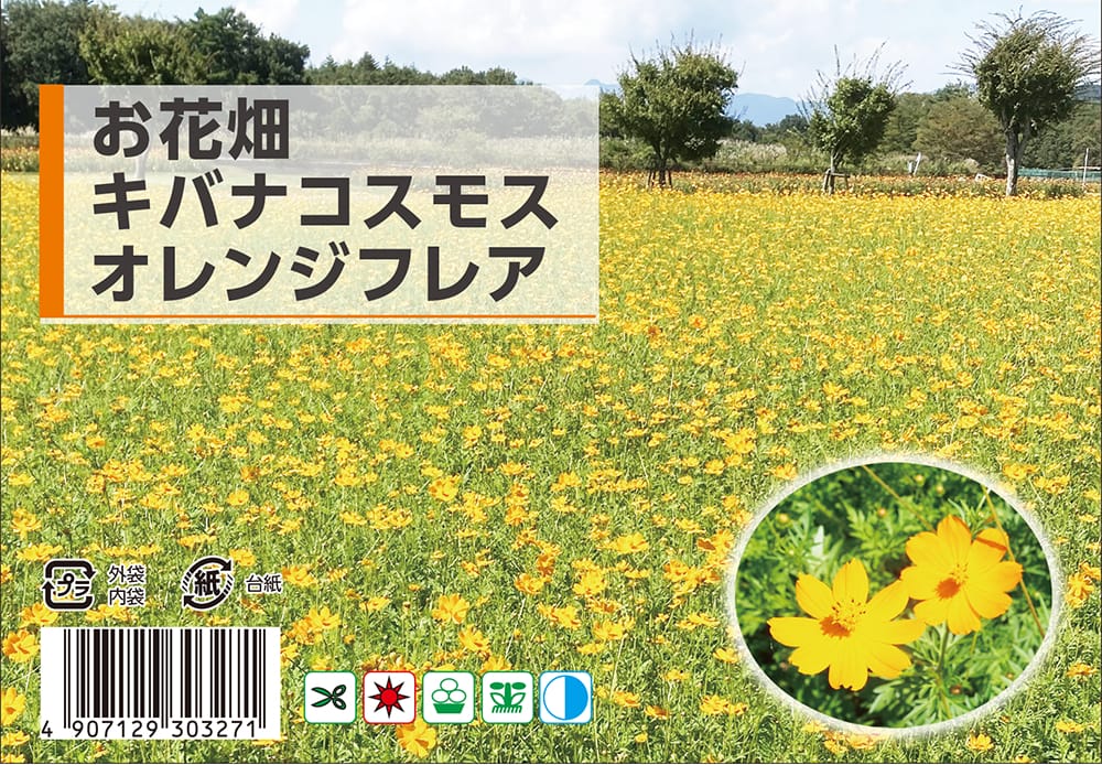 コスモス キバナコスモス 
