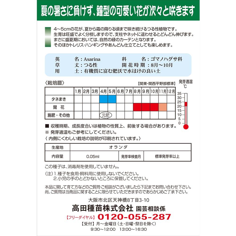 アサリナ 緑のカーテン アサリナ 1