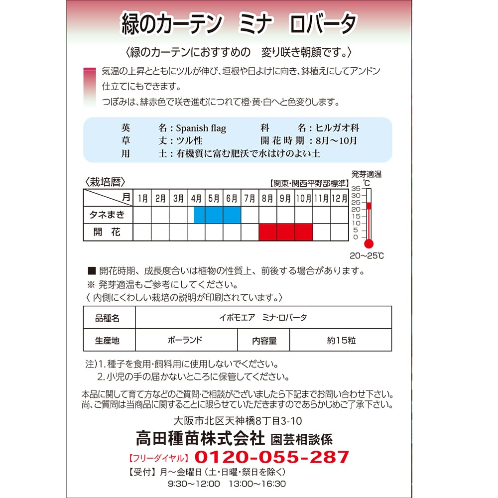 朝顔 緑のカーテン ミナ ロバータ 1