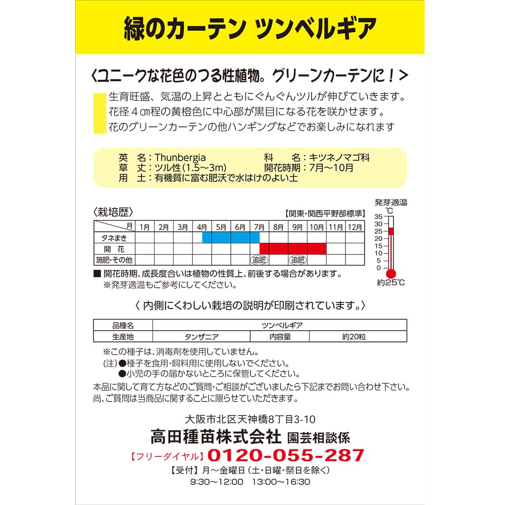 ツンベルギア 緑のカーテン ツンベルギア 1