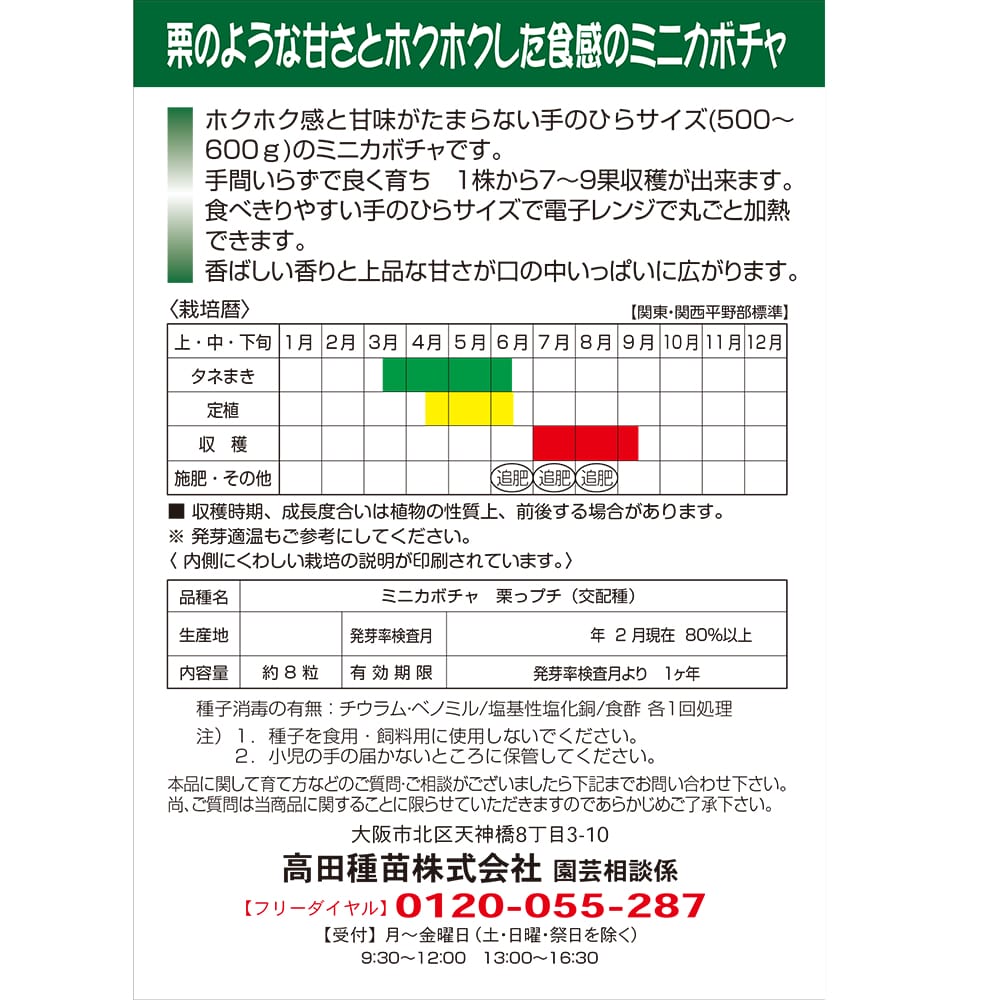 かぼちゃ 手のひらサイズのミニ栗カボチャ 1