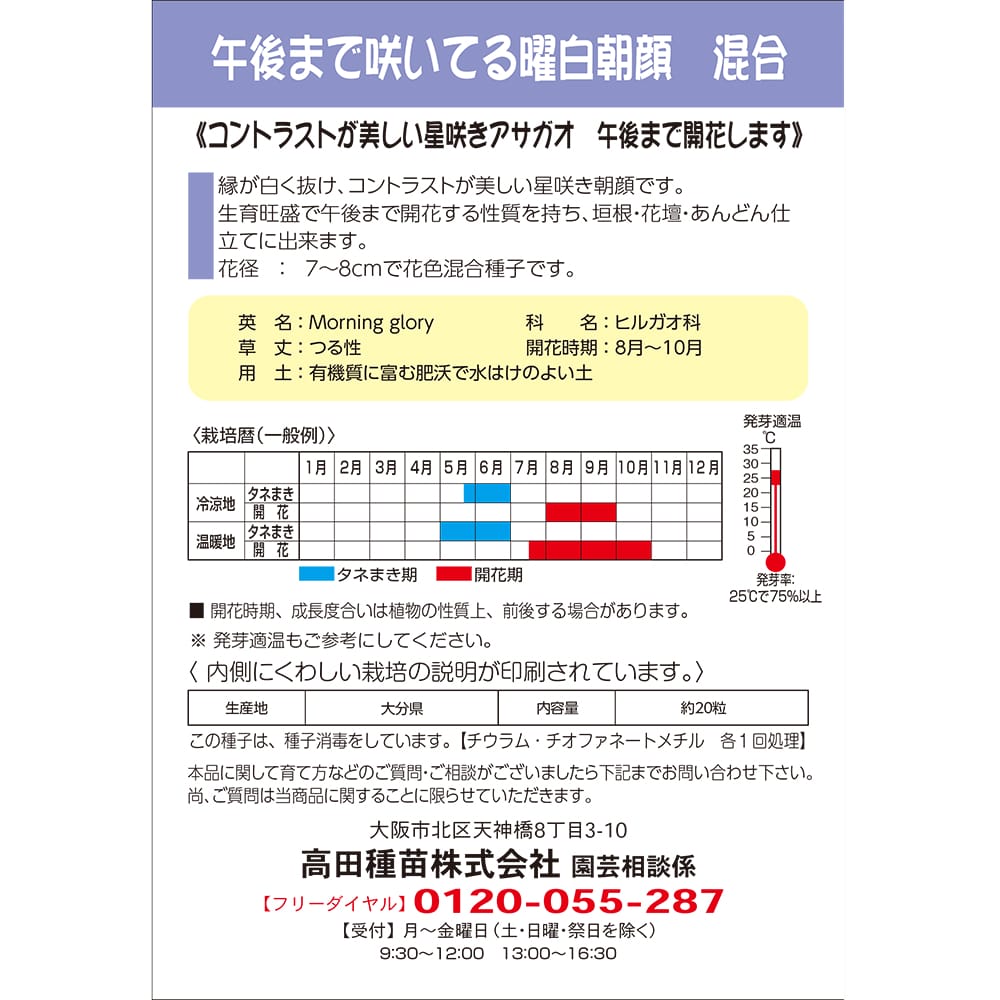 朝顔 午後まで咲いてる曜白朝顔 混合 1