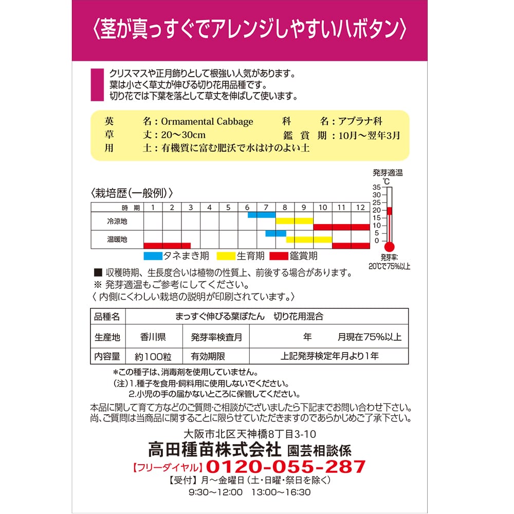 ハボタン まっすぐ伸びるハボタン 1