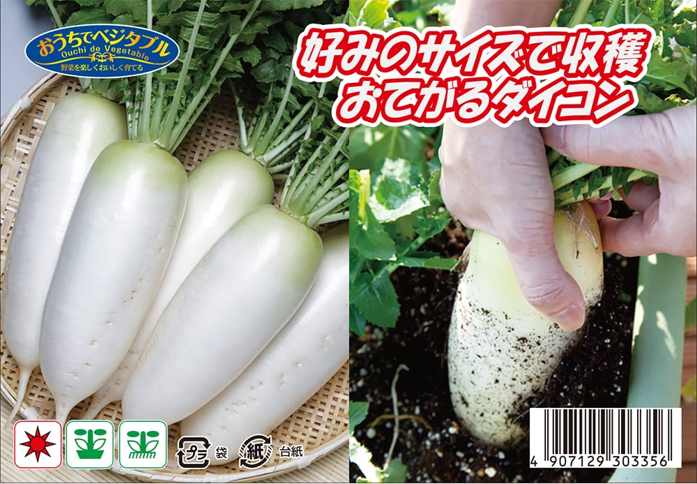 大根 好みのサイズで収穫できるおてがる大根 