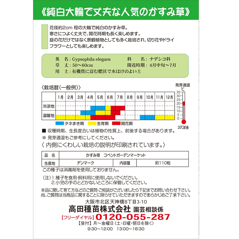カスミソウ コペントガーデンマーケット 1