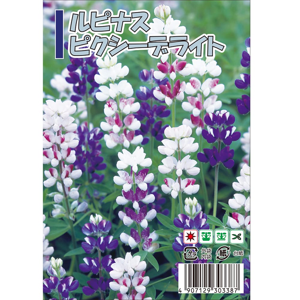 ルピナス  ピクシーデライト 