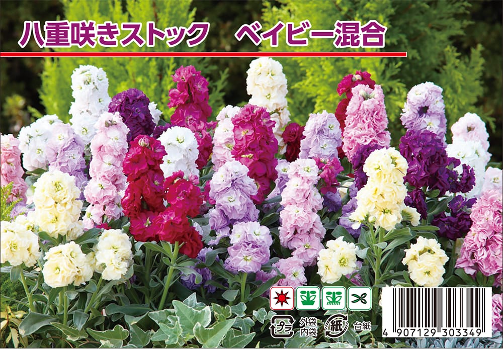 ストック ベイビー混合 