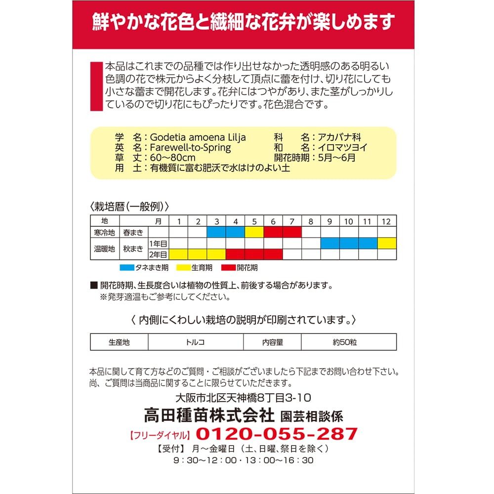 切花向きゴデチャ 切花向きゴデチャ 1