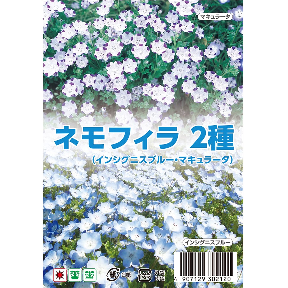 ネモフィラ ネモフィラ ２種 