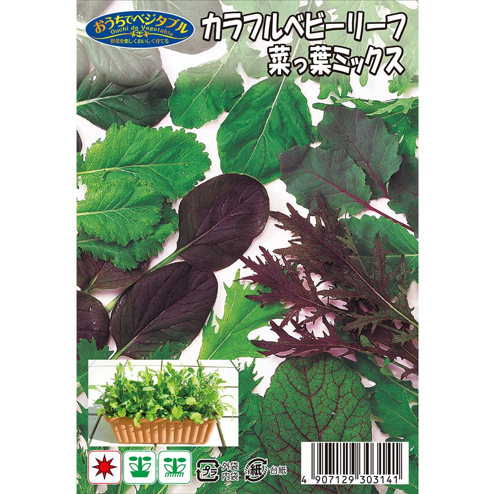 ベビーリーフ カラフルベビーリーフ 菜っ葉ミックス 