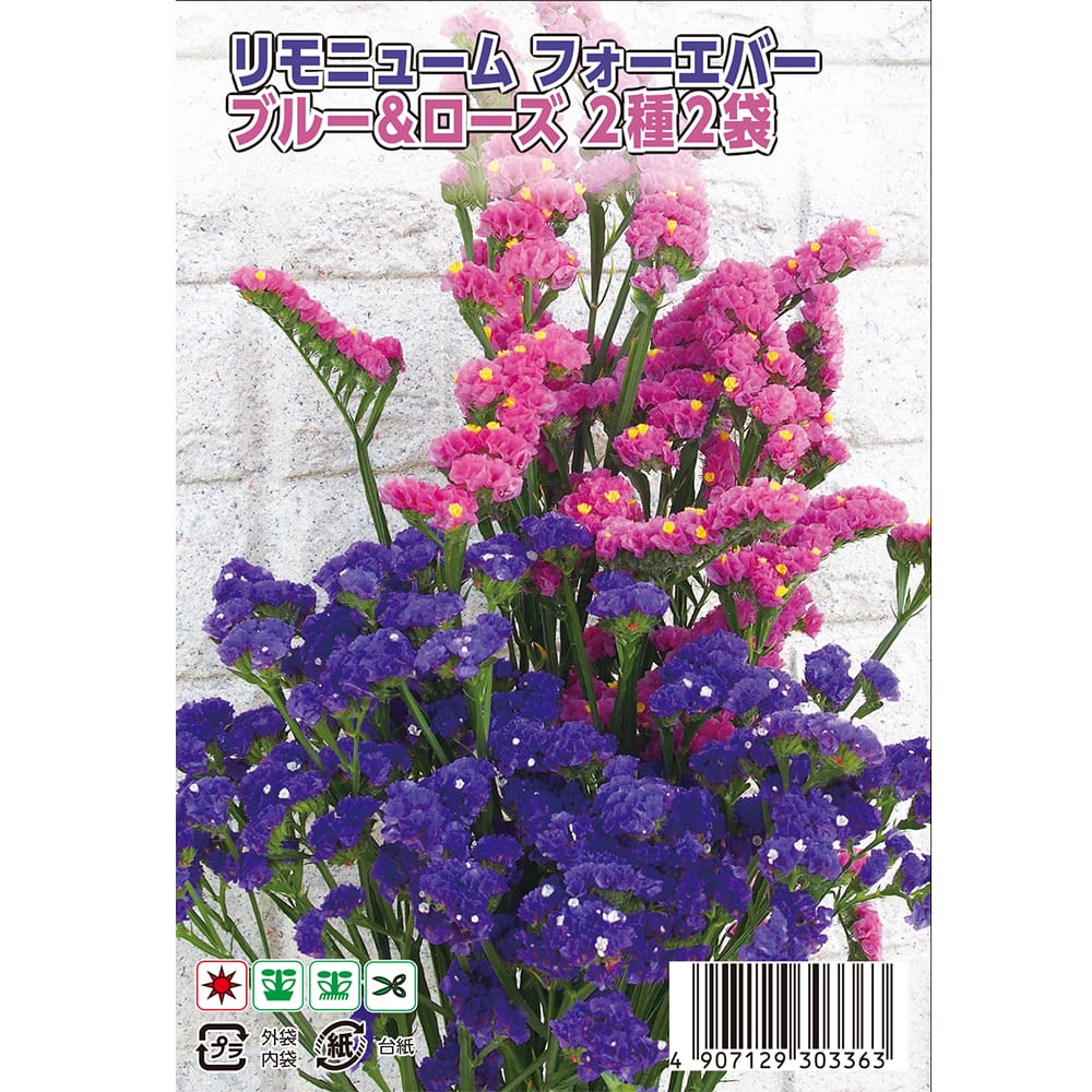 スターチス フォーエバー ブルー＆ローズ 