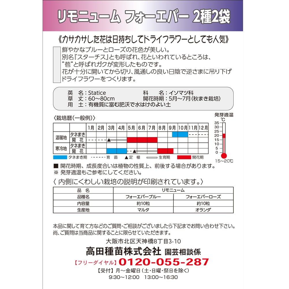 スターチス フォーエバー ブルー＆ローズ 1