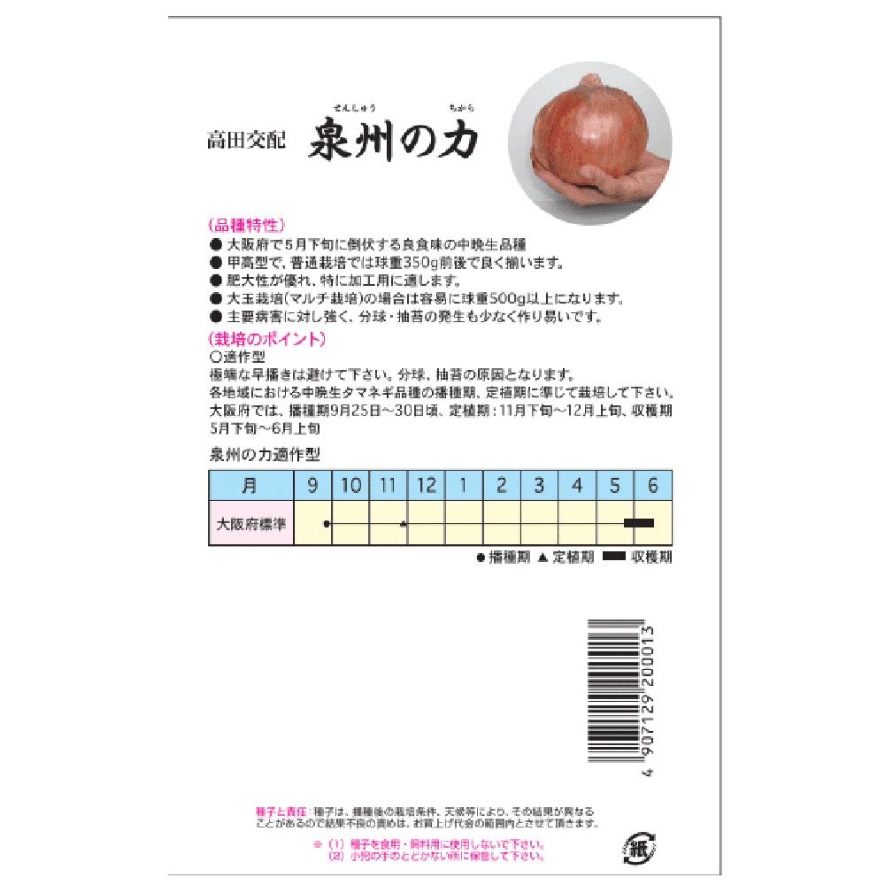 たまねぎ 泉州の力 1