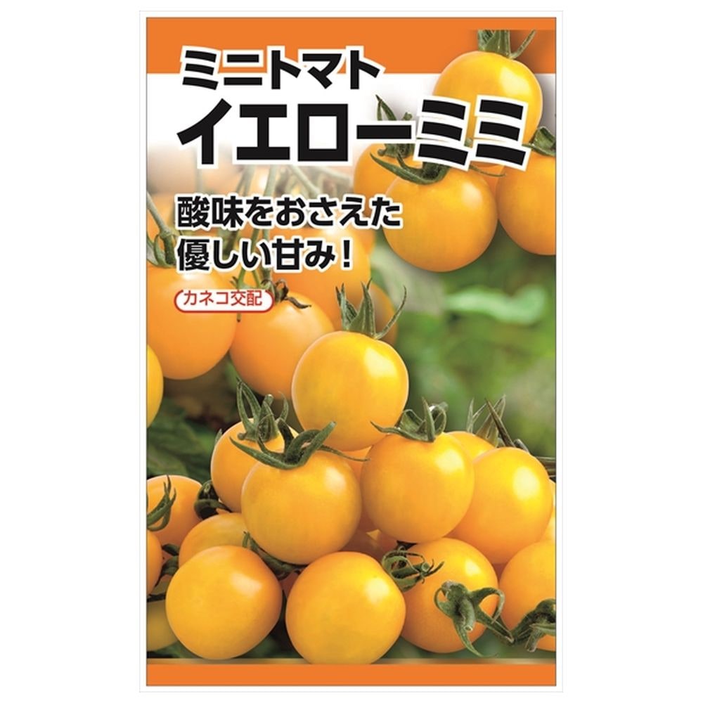 トマト イエローミミ 