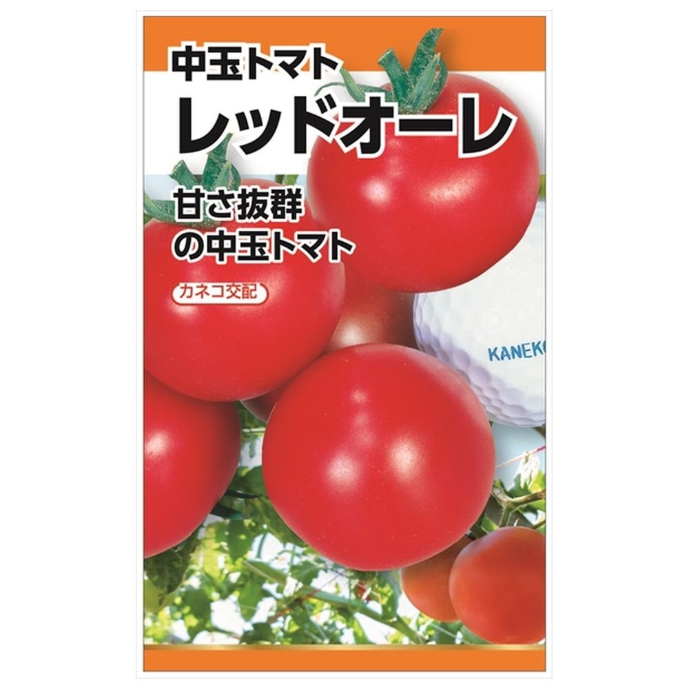 トマト レッドオーレ(中玉ﾄﾏﾄ) 