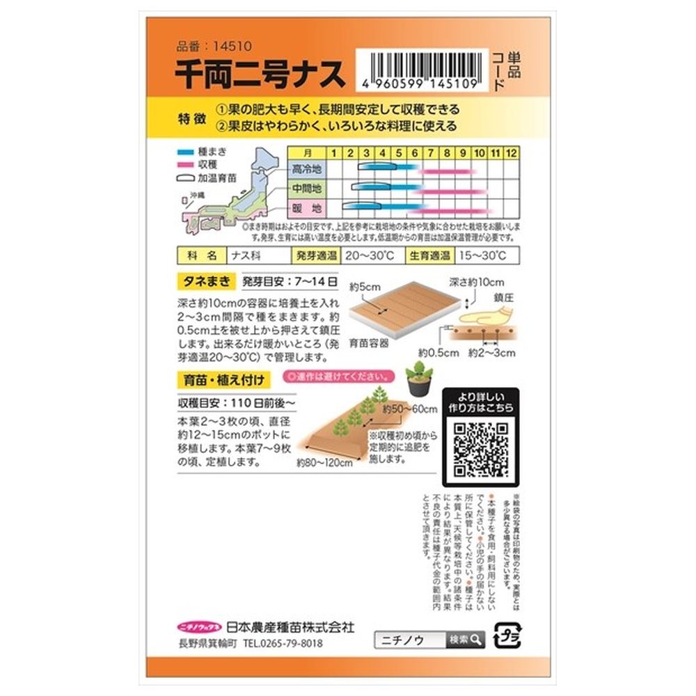 なす 千両二号 2