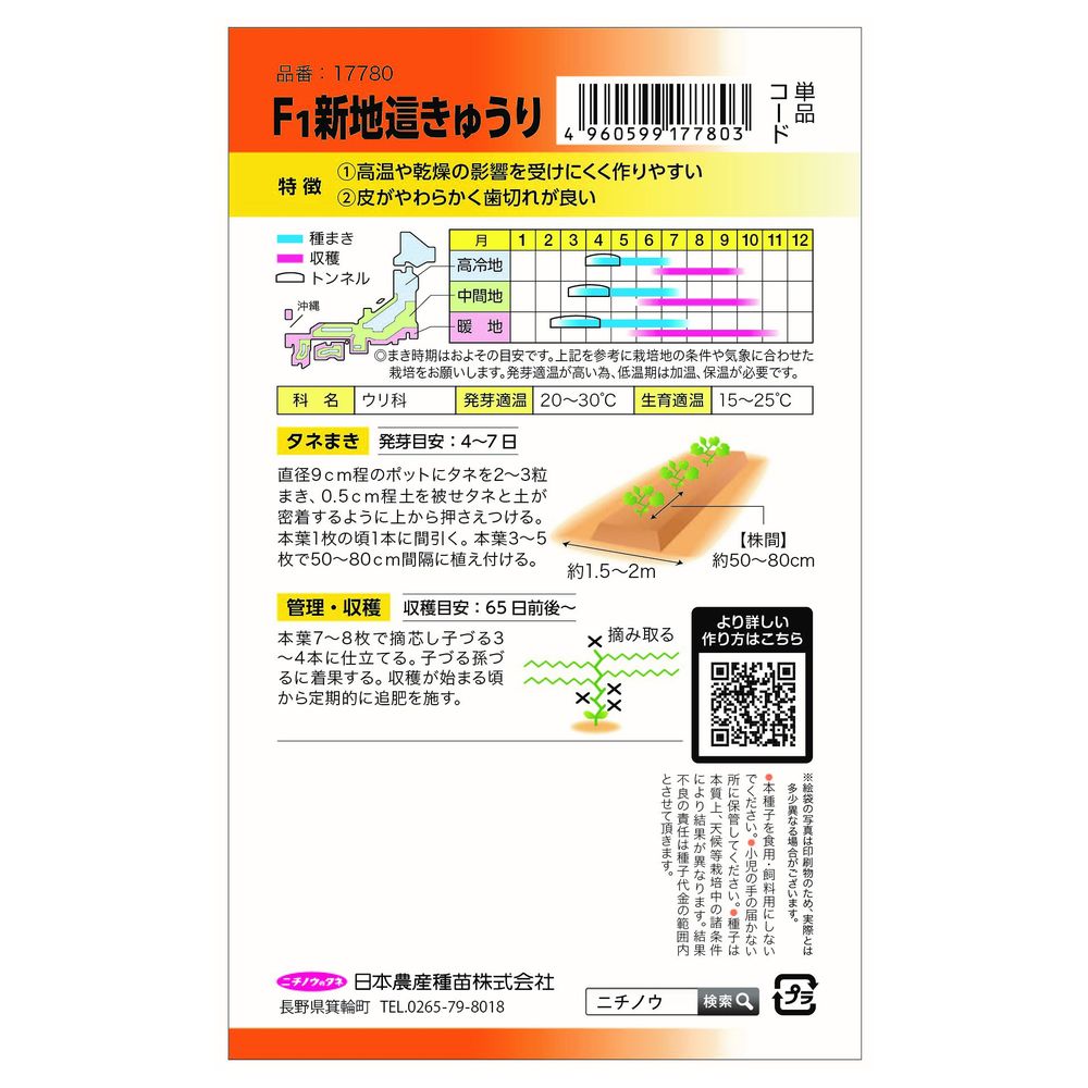 きゅうり 地這きゅうり 露知らず 1