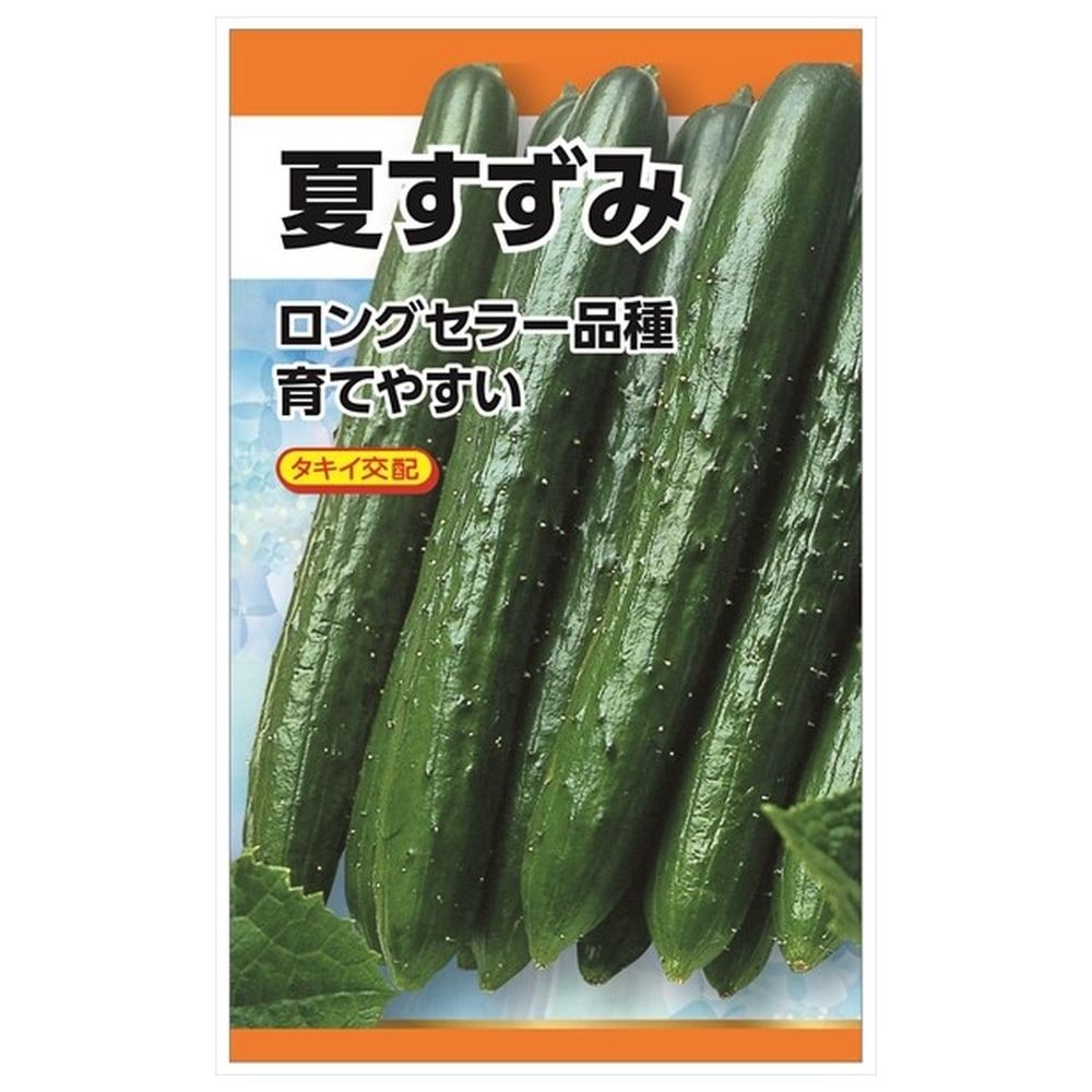きゅうり 夏すずみ 