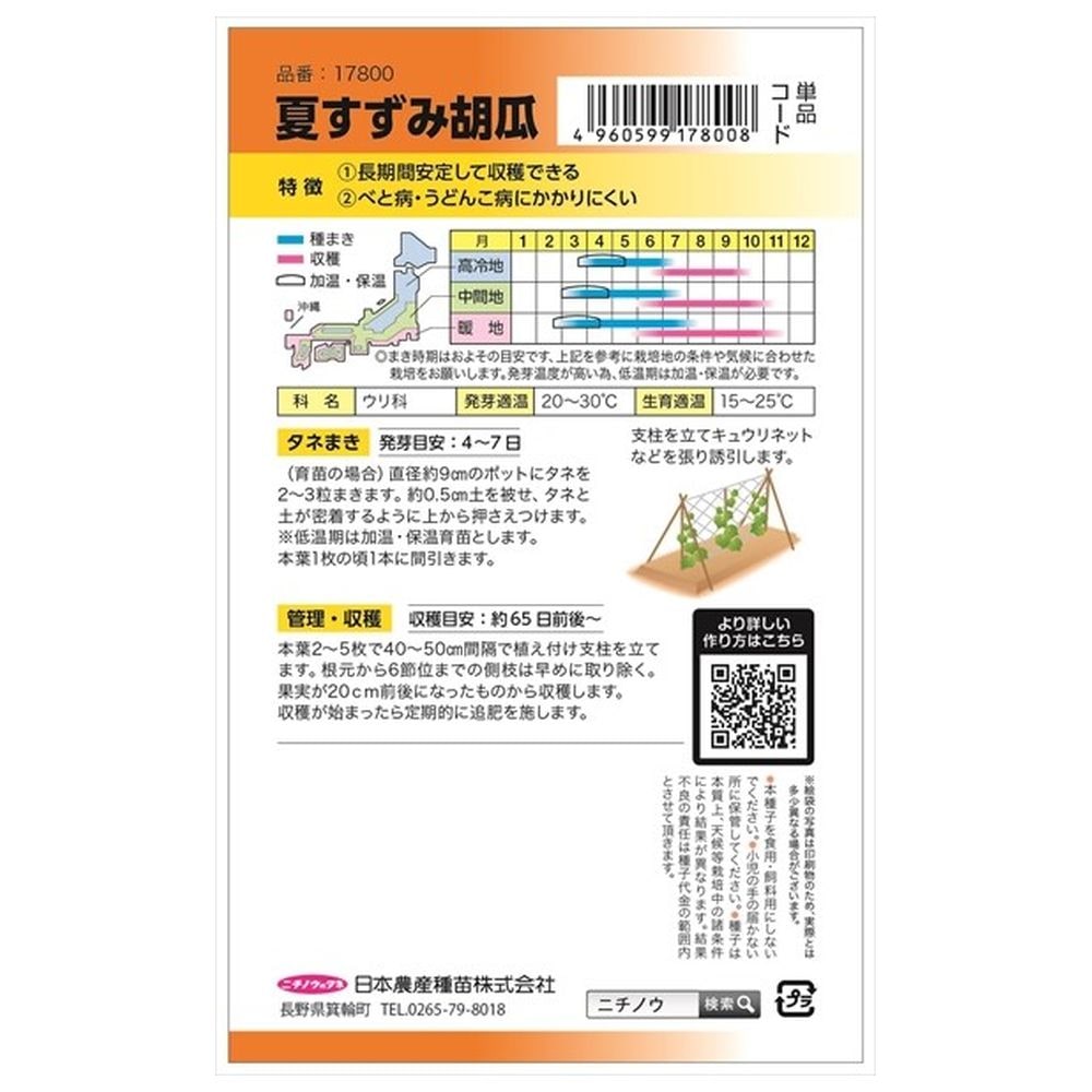 きゅうり 夏すずみ 2