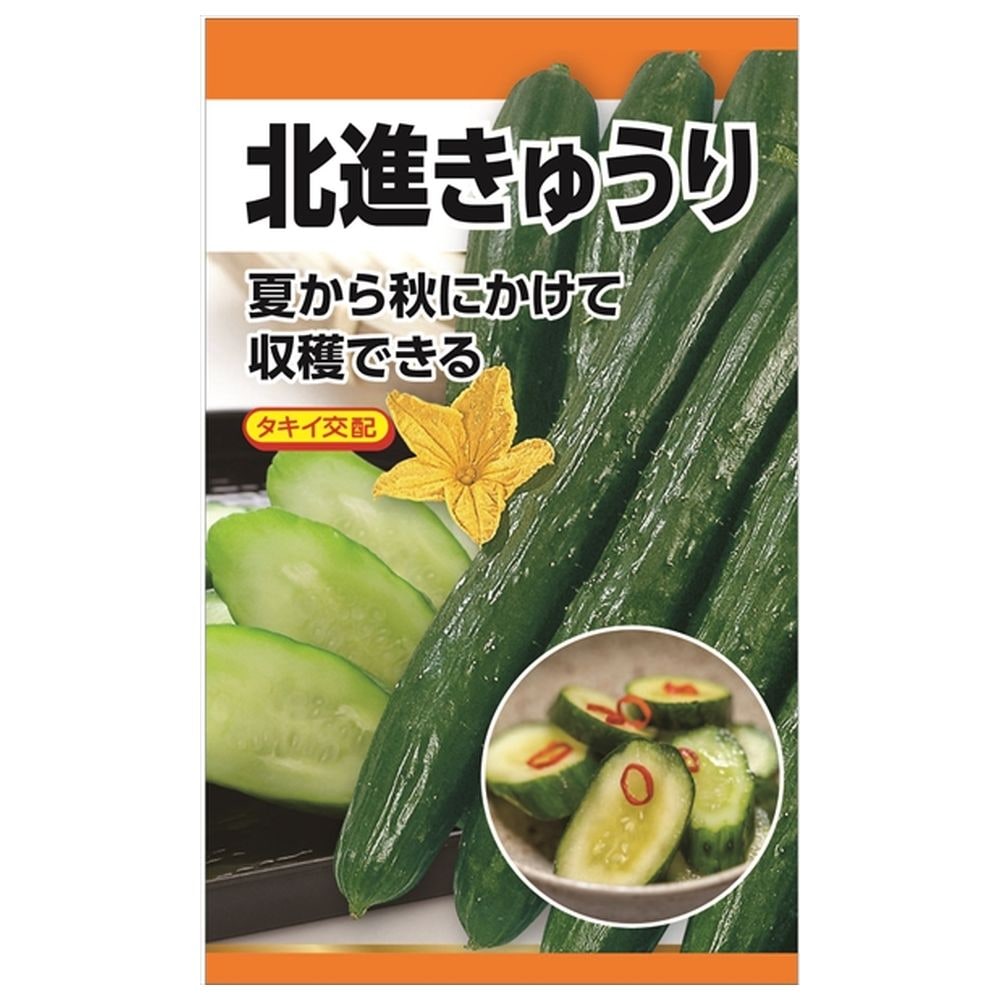きゅうり 北進きゅうり 