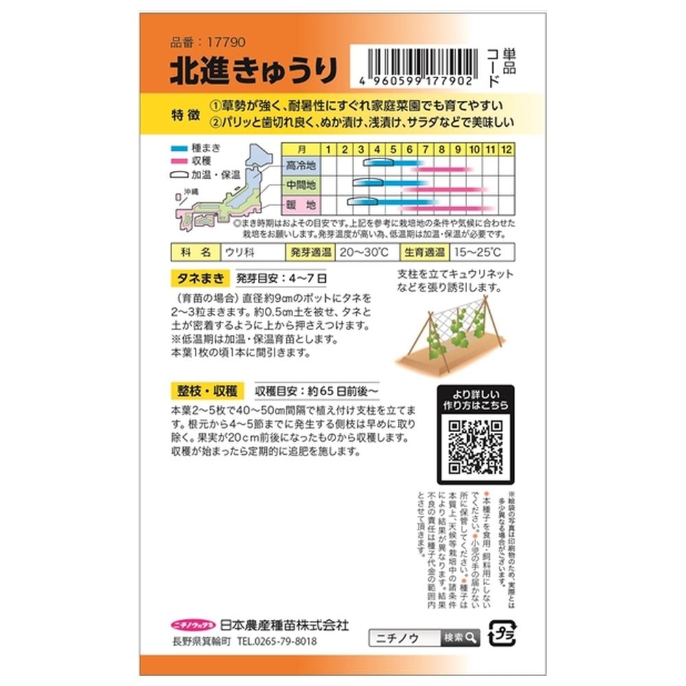 きゅうり 北進きゅうり 1