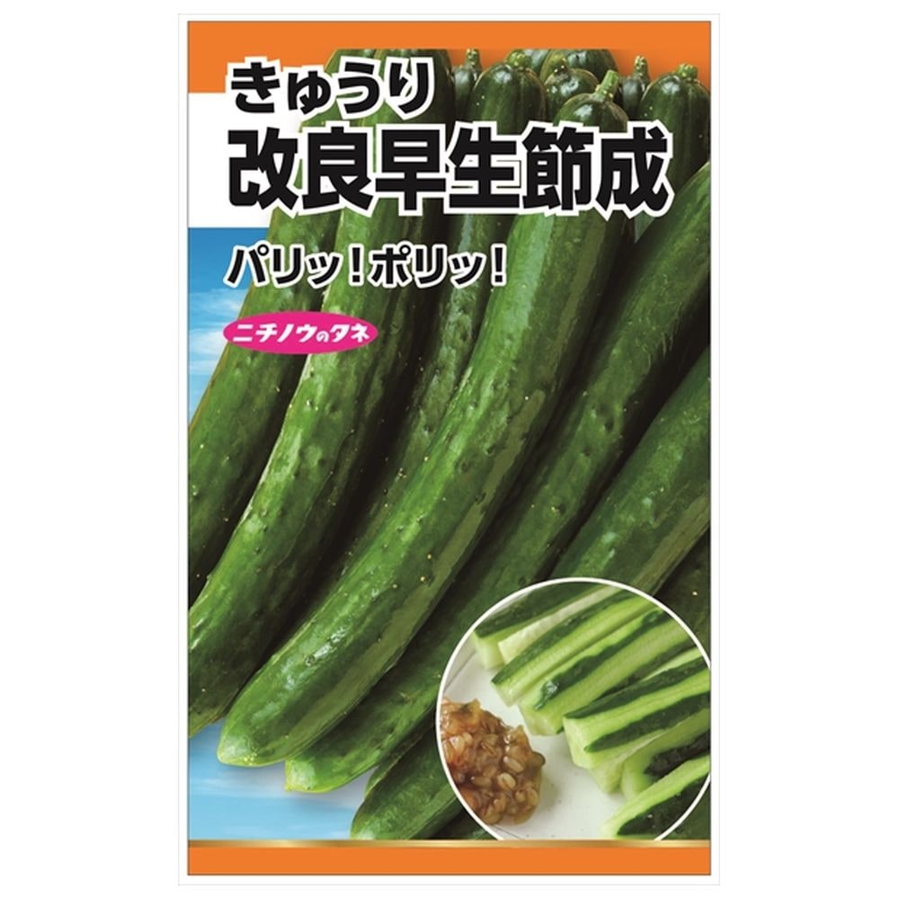きゅうり 改良早生節成 