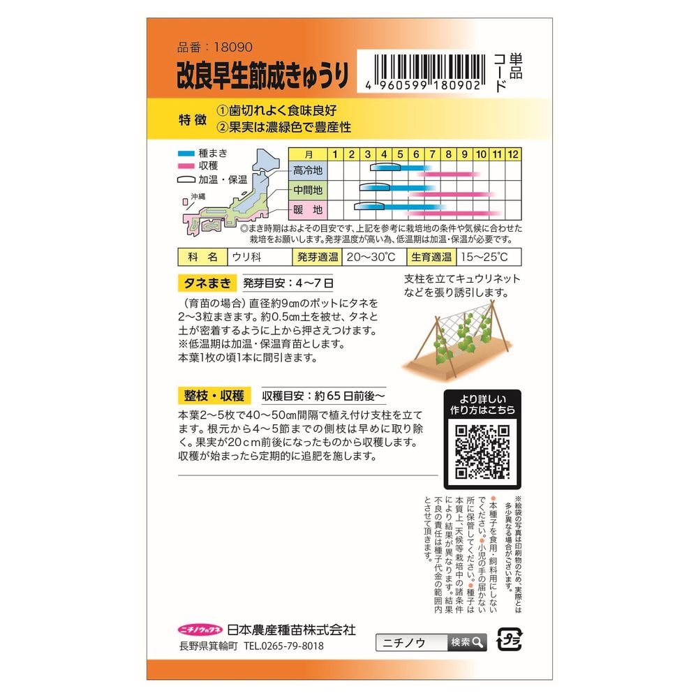 きゅうり 改良早生節成 2