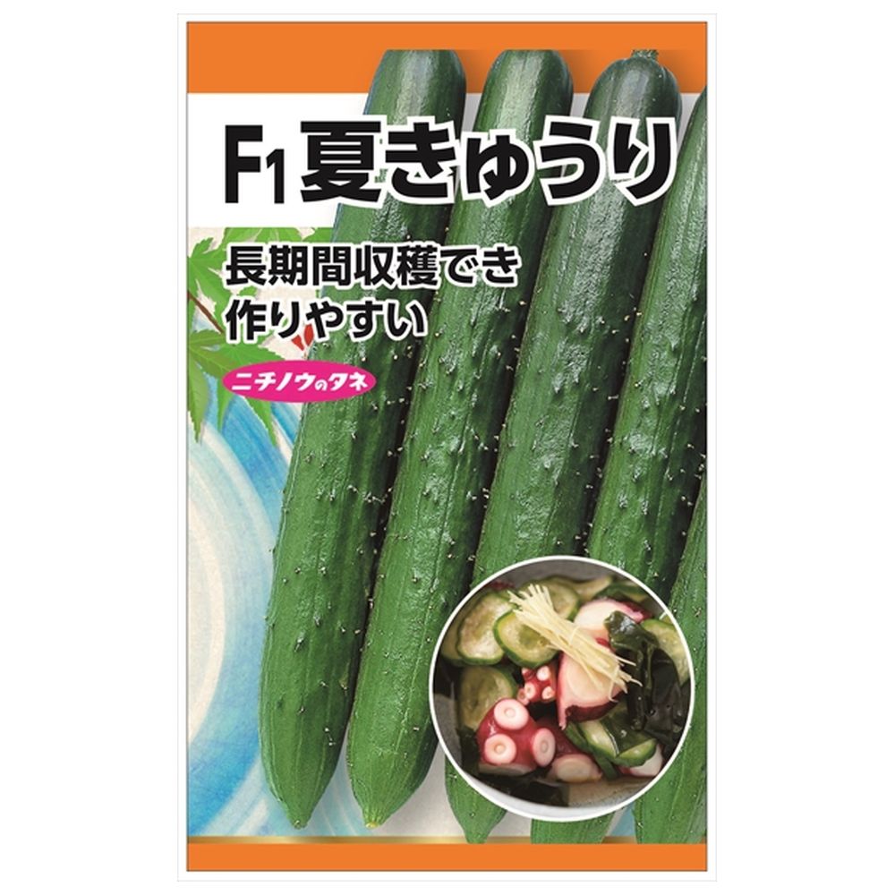 きゅうり F1夏きゅうり 苗 販売 苗木部 By 花ひろばオンライン